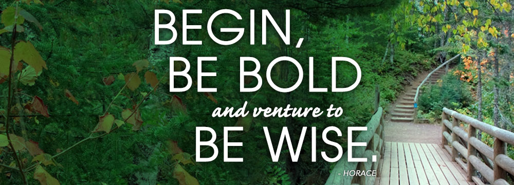 Begin, be bold and venture to be wise. - Horace