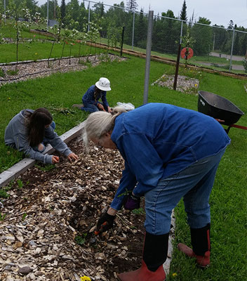 Cook County Extension - Community Orchard